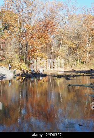 An autumn afternoon at Tyler State Park in Pennsylvania. Stock Photo