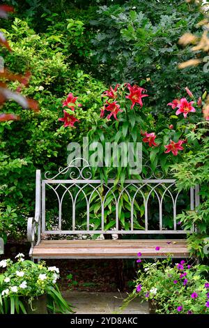 garden seat with OT lilies,garden seating,garden furniture,wooden garden bench with metal back,red lilies behind garden bench, RM Floral Stock Photo