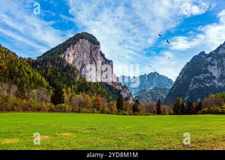 Picturesque green grassy meadow between the rocky ledges of the mountains. Travel to Austria. Scenic roads in the Austrian Alps. Mountains, green mead Stock Photo