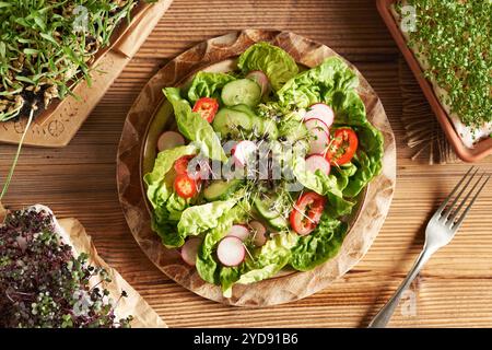 Vegetable salad with fresh cabbage and cress sprouts or microgreens, with lettuce, radish, cucumber and bell pepper Stock Photo