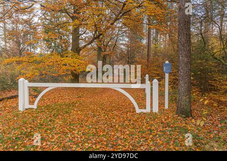 Road in the autumn forest with closed wooden gate at the entrance Stock Photo
