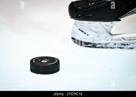 Feature, Symbolfoto, Eishockeypuck, Puck, GER, Iserlohn Roosters Vs ...