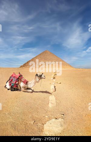 The Red Pyramid is the largest pyramid of the Old Kingdom at the Dahshur Necropolis, Egypt. Built in 2575-2551it is 105m high and 220m wide. Stock Photo