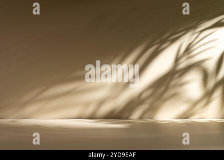 Minimal abstract beige background for product presentation with soft shadow and light from palm leaves on beige wall. Stock Photo