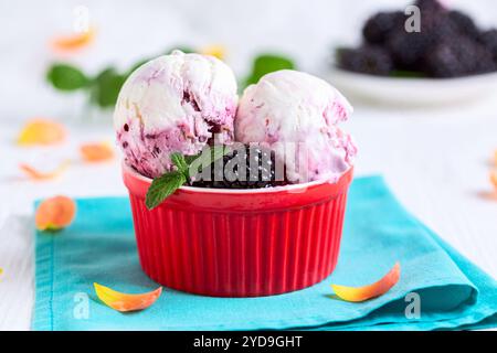 Homemade creamy blackberry ice cream. Stock Photo