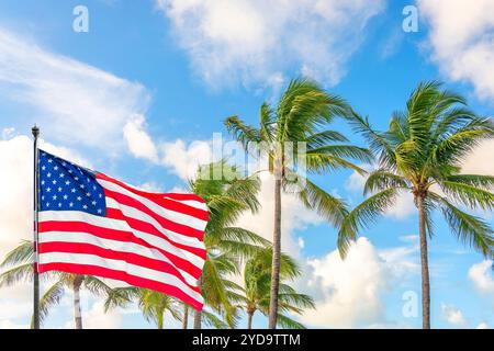 American flag waving against palm trees on blue sky background Stock Photo