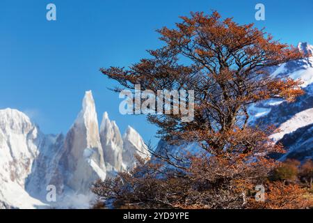 Cerro Torre on the Argentinian-Chilean border is one of the most beautiful peaks in the world Stock Photo