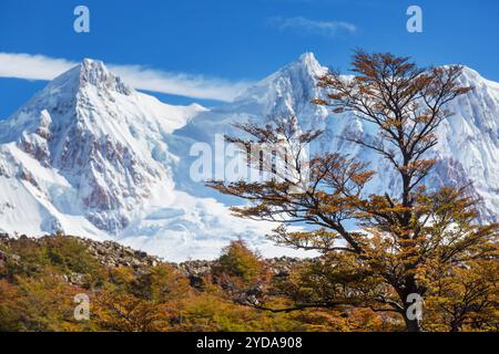 Amazing Autumn Landscape of South Park in city of Sofia, Bulgaria Stock ...
