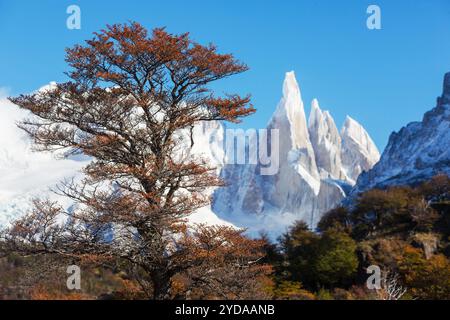 Cerro Torre on the Argentinian-Chilean border is one of the most beautiful peaks in the world Stock Photo