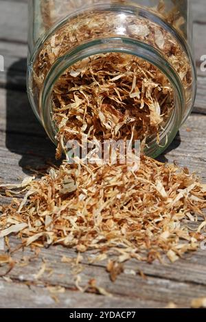 Hypericum perforatum, St. Johns wort Stock Photo
