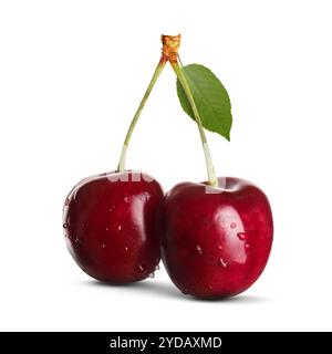 Fresh ripe red cherries with dew isolated on white Stock Photo
