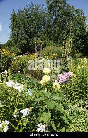 Flowers in Cottage Garden Stock Photo - Alamy