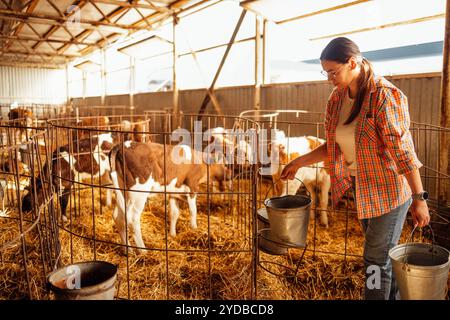 A young woman in casual clothes works in a cowshed. An attractive farmer wife carries buckets. The girl with glasses lives on a farm and takes care of Stock Photo