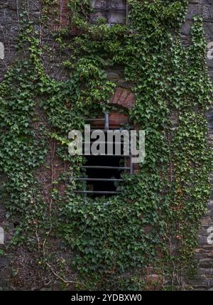The wall of an abandoned, industrial building shows crumbling stone and brick, flanked by climbing ivy, evoking a sense of decay and neglect. Photo ta Stock Photo
