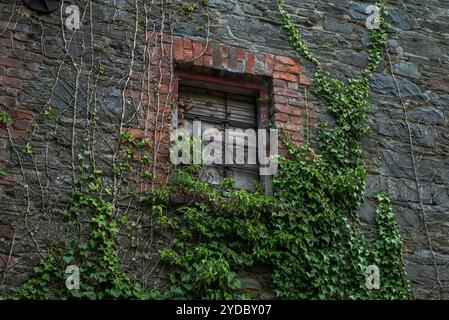 The wall of an abandoned, industrial building shows crumbling stone and brick, flanked by climbing ivy, evoking a sense of decay and neglect. Photo ta Stock Photo