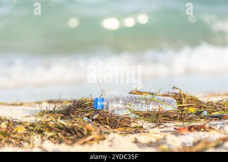 Plastic bottle with cap washed up on beach mixed with seaweed Stock Photo
