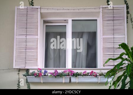The white window of the house with shutters and flowers. Plants on the outside wall of the house by the window. Stock Photo