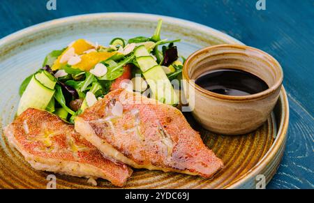 Grilled Red Snapper fish fillets and fresh vegetable salad Stock Photo