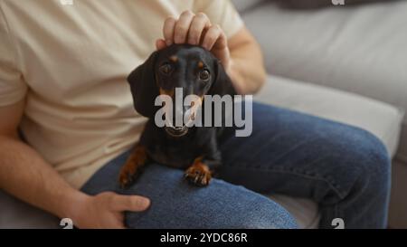 A man sits on a couch indoors with a dachshund dog on his lap, petting the dog's head affectionately in a cozy living room setting. Stock Photo