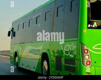 Cairo, Egypt, October 2 2024: The green bus for mass transit ...