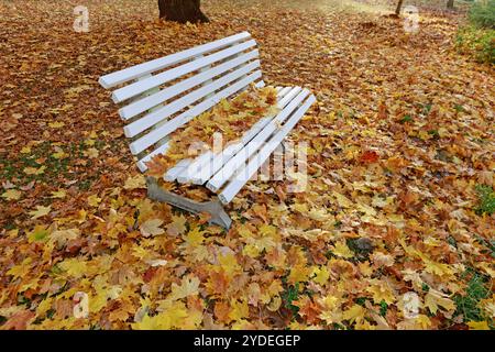 26 October 2024, Saxony-Anhalt, Königshütte: Autumn leaves lie on a park bench in the Harz village of Königshütte. Photo: Matthias Bein/dpa Stock Photo