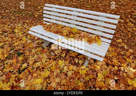 26 October 2024, Saxony-Anhalt, Königshütte: Autumn leaves lie on a park bench in the Harz village of Königshütte. Photo: Matthias Bein/dpa Stock Photo