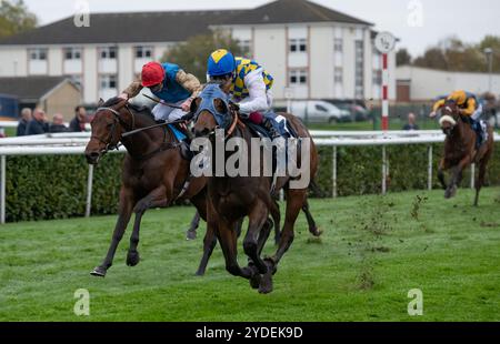 Doncaster, United Kingdom. Saturday 26th October 2024. La Bellota and Oisin Murphy win the William Hill Prospect Stakes for trainer John Ryan and owner Mr Gerry McGladery. Credit JTW Equine Images / Alamy Live News Stock Photo