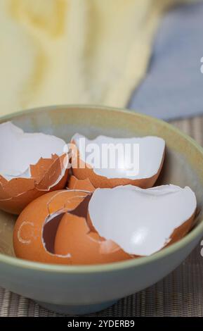 Broken egg shells ,Recycling kitchen waste, Crushed egg shells for the compost and garden. Stock Photo