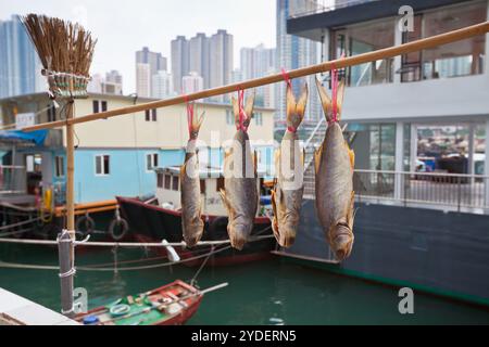 Floating village in the Aberdeen bay in Hong Kong Stock Photo