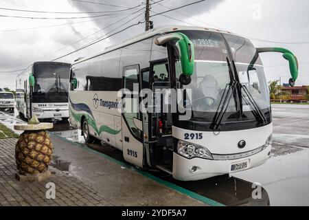 SANTA CRUZ DEL NORTE, CUBA - AUGUST 29, 2023: Chinese Yutong buses of Transgaviota luxury public transportation company in bus stop, Cuba Stock Photo