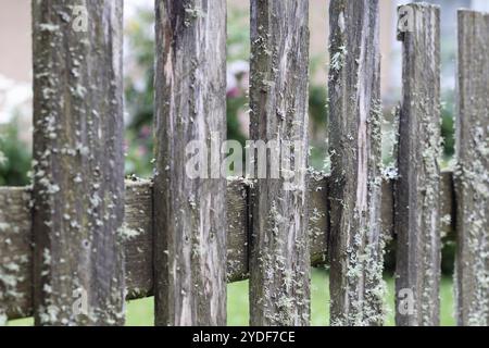 an old wooden plank fence overgrown with moss Stock Photo