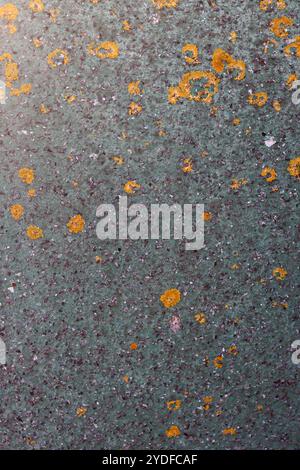 Old wall texture. Grunge metal wall texture. Abstract background and texture for design. Stock Photo