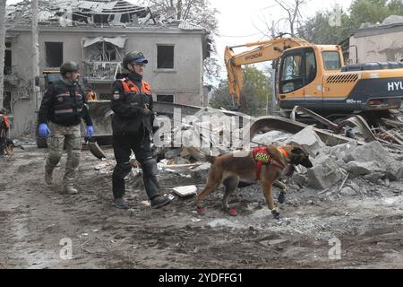 DNIPRO, UKRAINE - OCTOBER 26, 2024 - A search and rescue dog of the Antaries SAR canine unit from Pavlohrad is looking for dead bodies on the ruins in the Novokodatskyi district of Dnipro, east-central Ukraine. As reported, Russian troops launched three missile strikes on Dnipro overnight. Twenty people were injured, and four people, including a 14-year-old child, were killed. Police documented the destruction of buildings at three locations in Dnipro. Over 10 apartment buildings, two private houses, medical facilities, a garage, and thirty civilian vehicles were damaged. Stock Photo