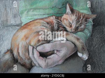 Red cat sleeps on your lap cuddled in your hand, is curled up in a ball - oil pastel drawing handmade with crayons Stock Photo