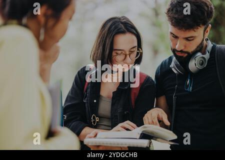 Multicultural students collaborating on school projects in the park Stock Photo