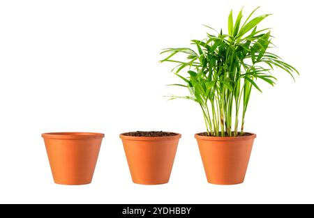 clay pot filled with organic potting soil , isolated on white Stock Photo