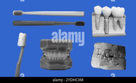 Teeth and dental related object collage. Toothbrush and mouth anatomical model for dentist Stock Vector