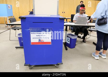 Early voting is available at the GoldblattÕs Building in the West Town