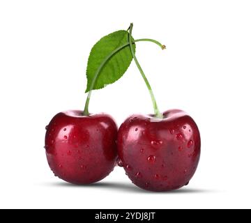 Fresh ripe red cherries with dew isolated on white Stock Photo