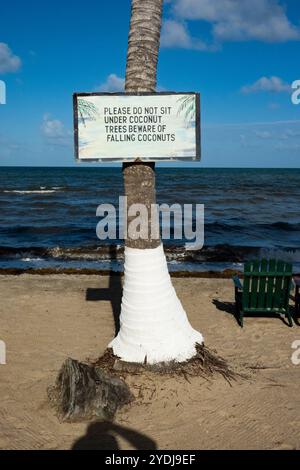 Beach at Hopkins, Belize Stock Photo - Alamy