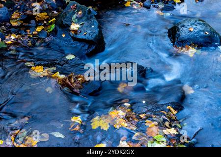 Fallen autumn leaves and rocks in a stream with long exposure Stock Photo