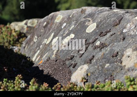 A rock covered in moss and lichen Stock Photo