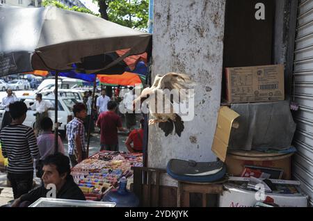 14.02.2014, Yangon, Myanmar, Asia, A flying chicken attempting to fly over a street stall in the city centre of the former capital, Asia Stock Photo