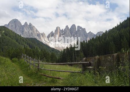 21.06.2019, St. Magdalena, Villnoess, Funes, Trentino, South Tyrol, Italy, Europe, The nature park in the Villnoess Valley with mountains of the Dolom Stock Photo