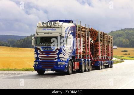 Customised Scania logging truck of Kuljetusliike Niko Gustafsson pulls log load uphill on highway in rainy weather. Salo, Finland. September 4, 2020 Stock Photo