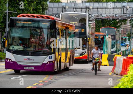 Four buses in a row on a Singapore street and an older man riding a bicycle Stock Photo