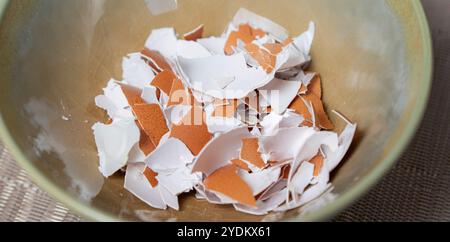 Broken egg shells ,Recycling kitchen waste, Crushed egg shells for the compost and garden. Stock Photo