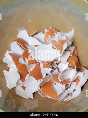 Broken egg shells ,Recycling kitchen waste, Crushed egg shells for the compost and garden. Stock Photo