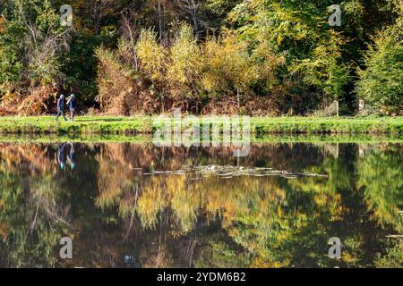 Englefield Green, UK. 27th October, 2024. Pretty reflections in the Cow Pond in Windsor Great Park. It was a beautiful sunny morning in Windsor Great Park in Englefield Green, Egham, Surrey today as British Summertime Ended and the clocks changed last night. Credit: Maureen McLean/Alamy Live News Stock Photo