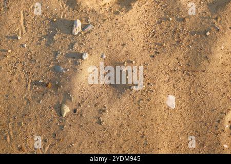 Sand background close-up. Beige beach sand texture with natural pattern. Summer travel concept. Stock Photo